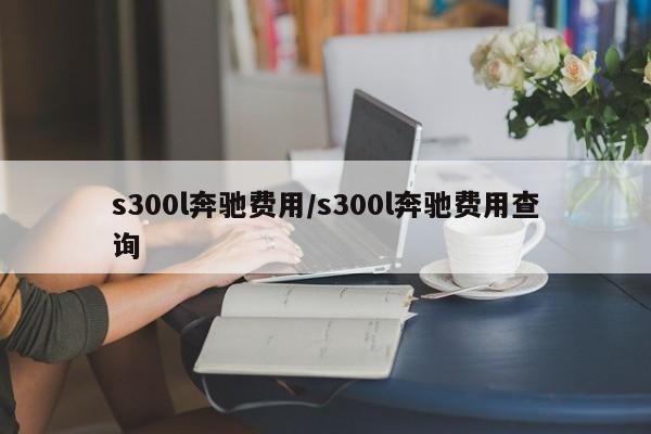 s300l奔驰费用/s300l奔驰费用查询
