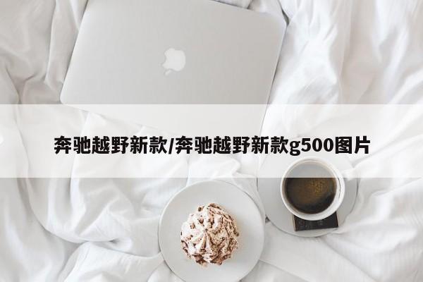 奔驰越野新款/奔驰越野新款g500图片