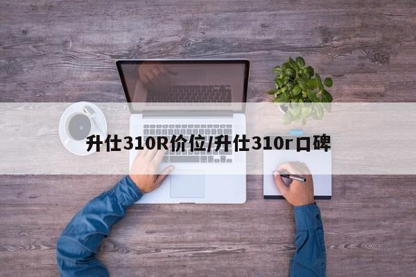 升仕310R价位/升仕310r口碑