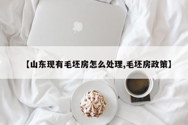 【山东现有毛坯房怎么处理,毛坯房政策】